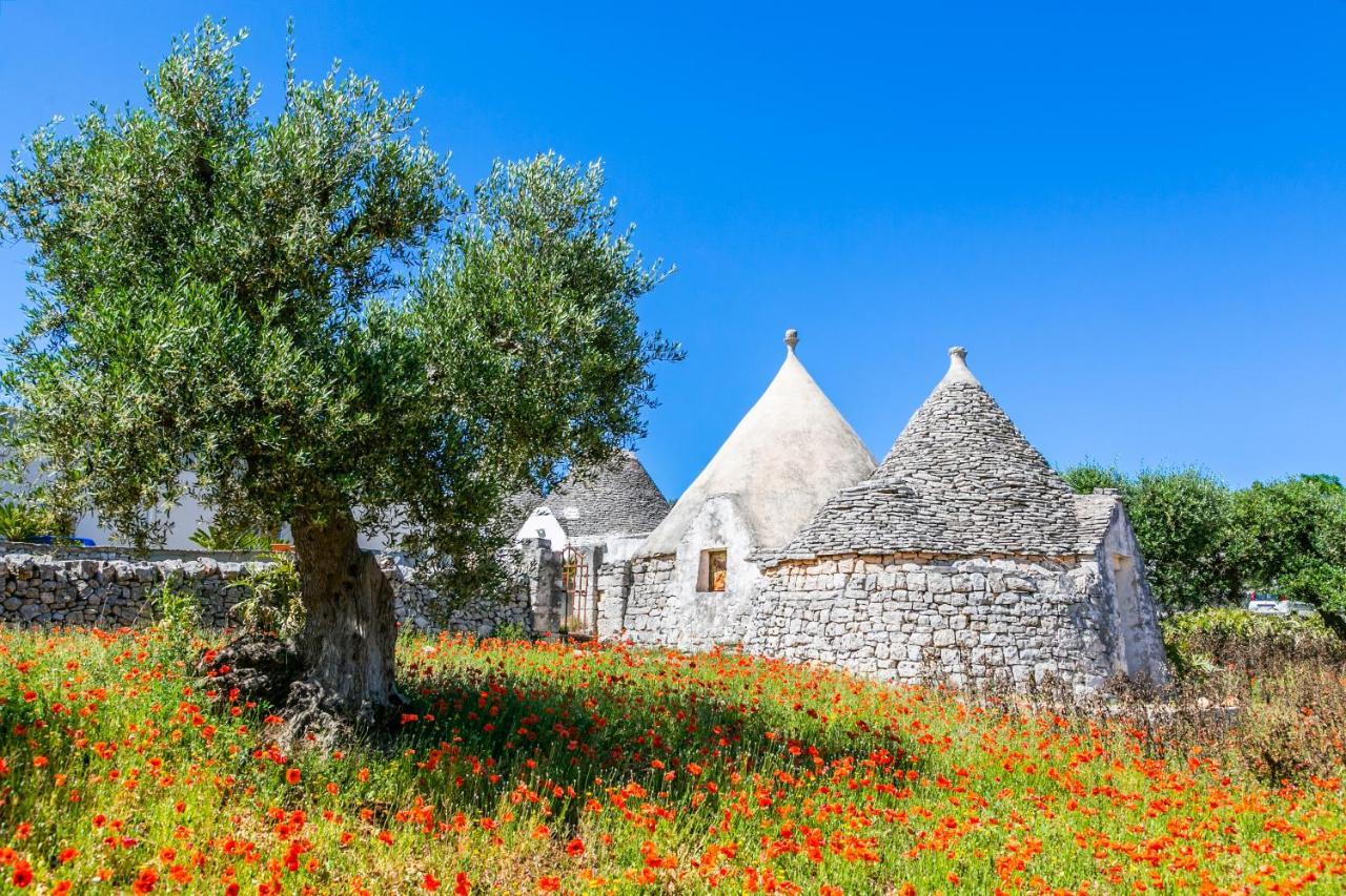 Ferienwohnung Domus Otium Ostuni - Tiny House Exterior foto